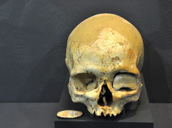 Transhumance  dans le Couserans