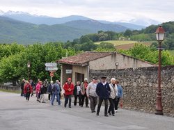 Transhumance  dans le Couserans