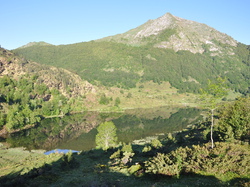 Transhumance  dans le Couserans