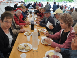 Transhumance  dans le Couserans